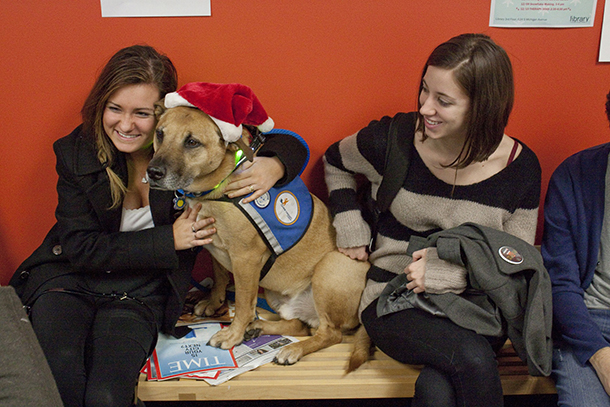 Therapy Dogs with Canine Therapy Corps