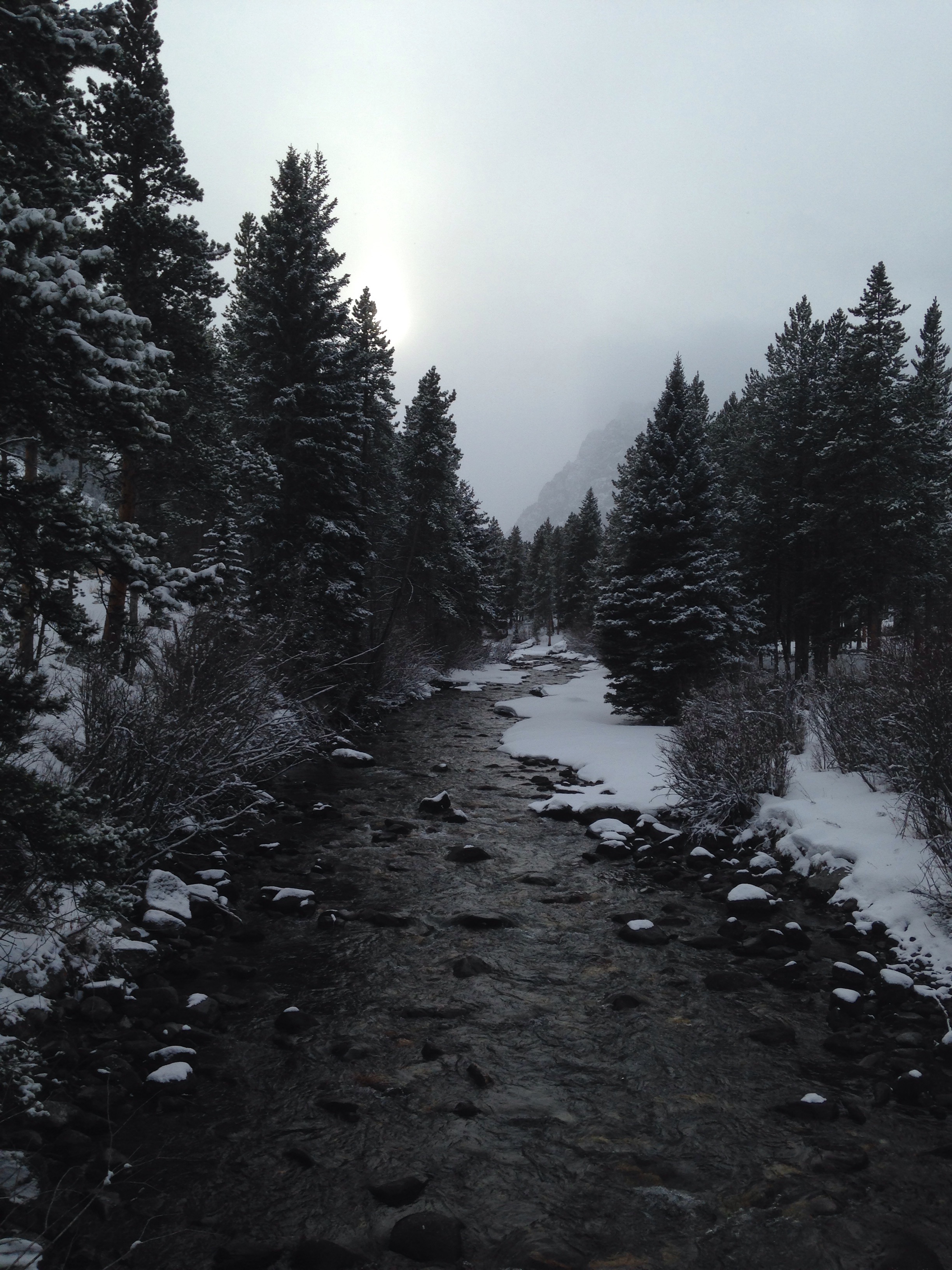 Winter Break in Montana