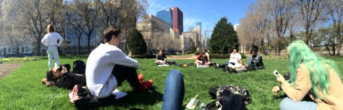 Poetry in the park