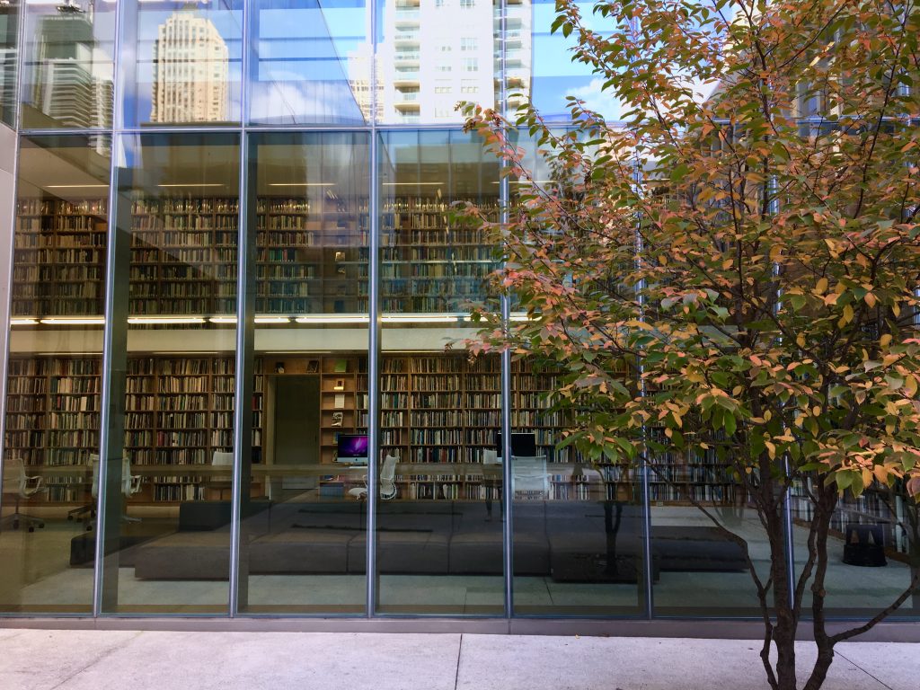 5 Things to Do in Chicago for the Literature Lover