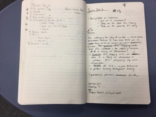 Chelsea Darter's Sketchbook