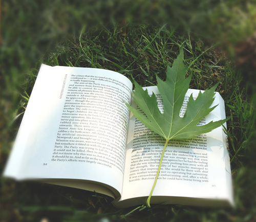 Book and leaf